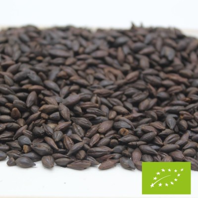 Infusion Orge Torréfié BIO*